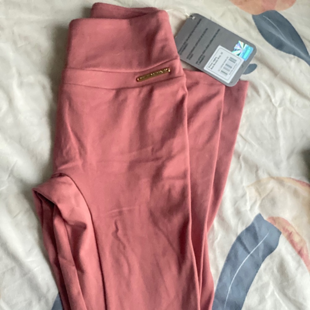 WS1 brick Moab leggings